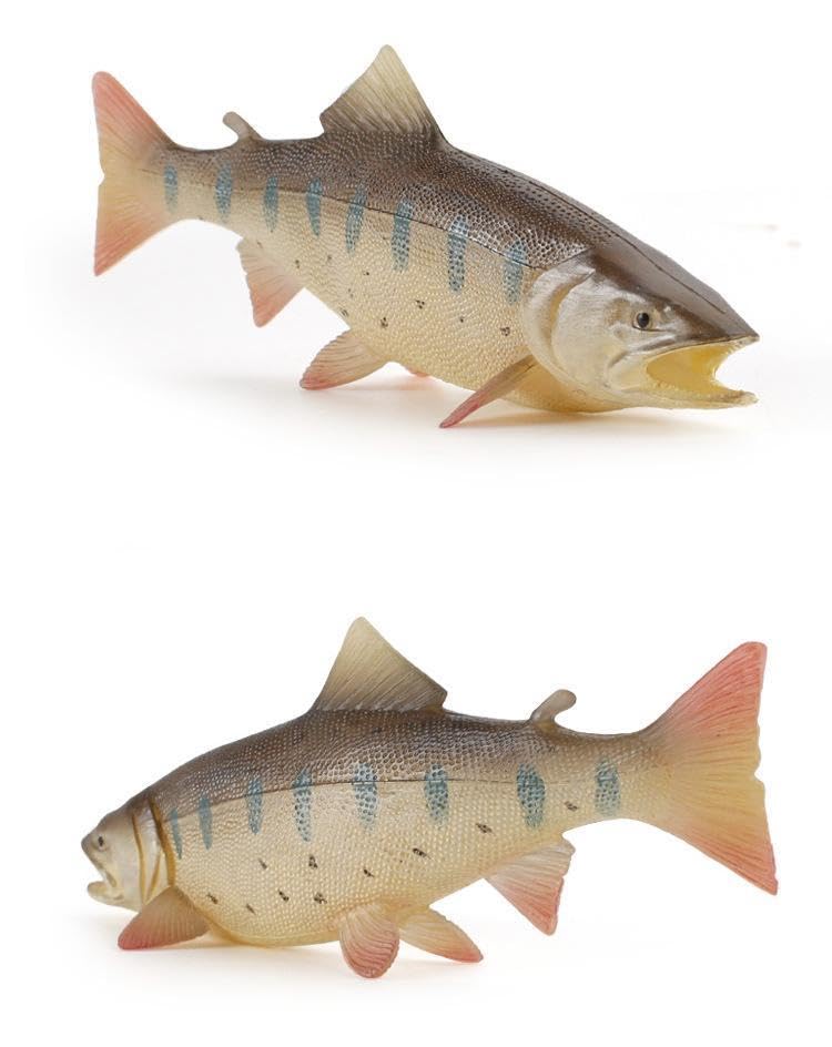 置物　ヤマメ　メス Amazon.co.jp: [猫神山] 山女魚 ヤマメ 川のサカナ 渓流 魚 フィギュア